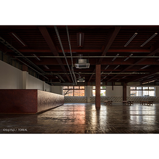 ムーンスター「PLATO MOONSTAR」